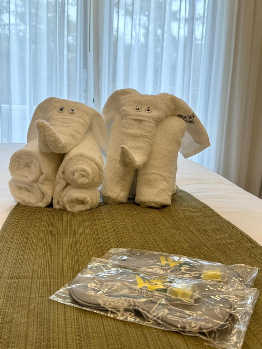 Hotel Gallery